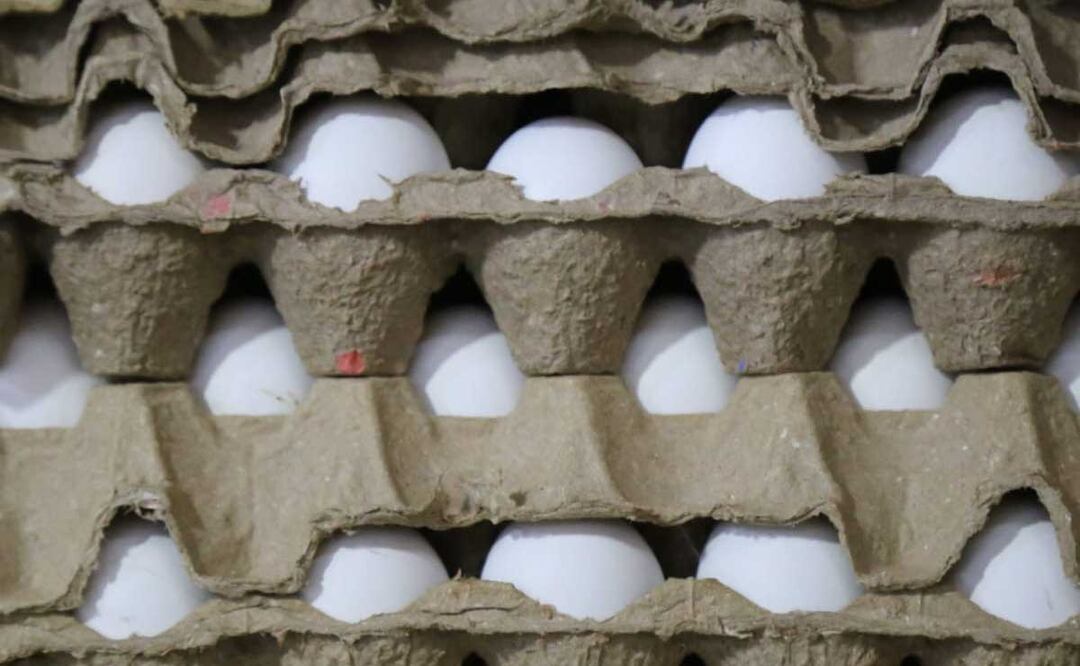 La Asociación de Avicultores de Tehuacán descartó que el precio del huevo siga al alza | foto: agencia Es Imagen para El Universal Puebla