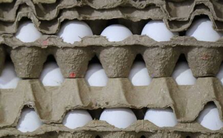 Prevén estabilización del precio del huevo a finales de marzo