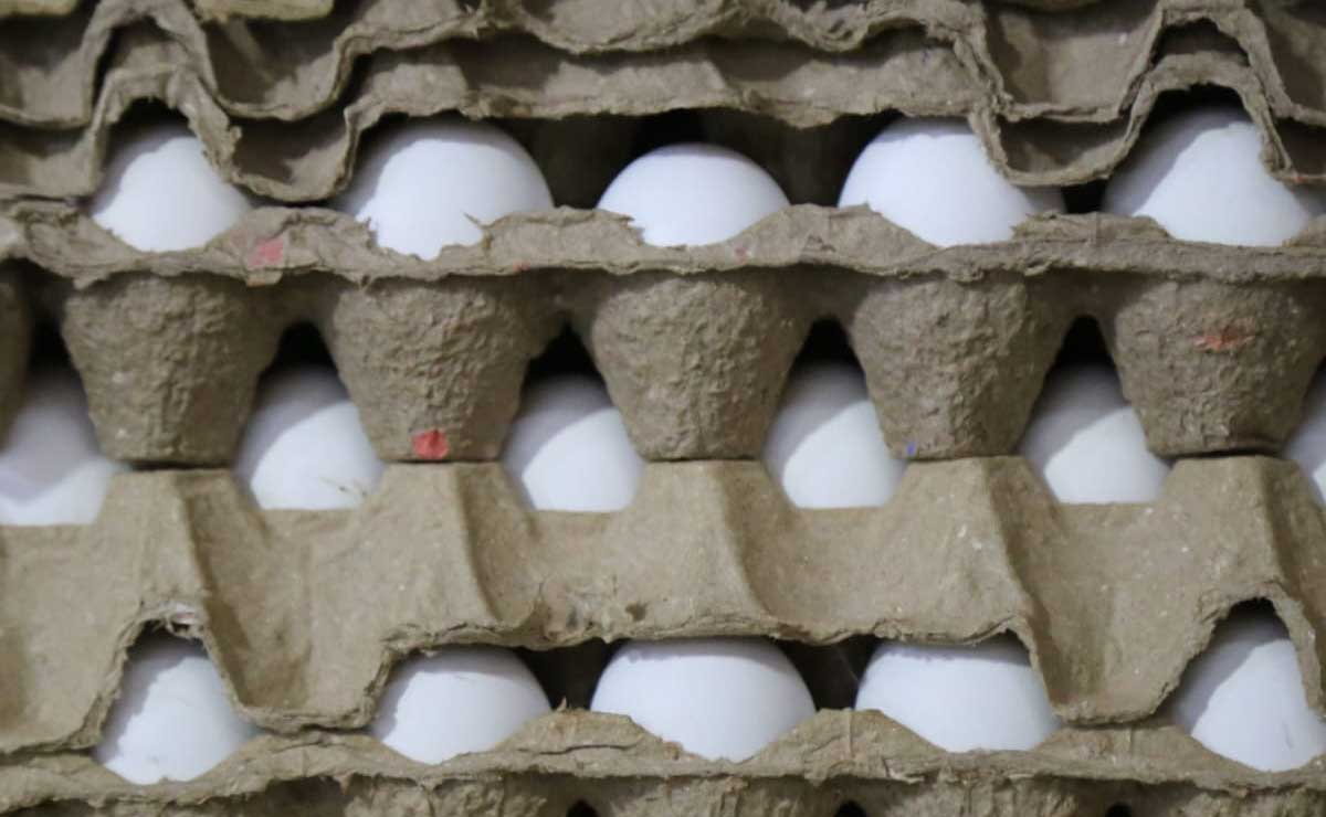 La Asociación de Avicultores de Tehuacán descartó que el precio del huevo siga al alza | foto: agencia Es Imagen para El Universal Puebla
