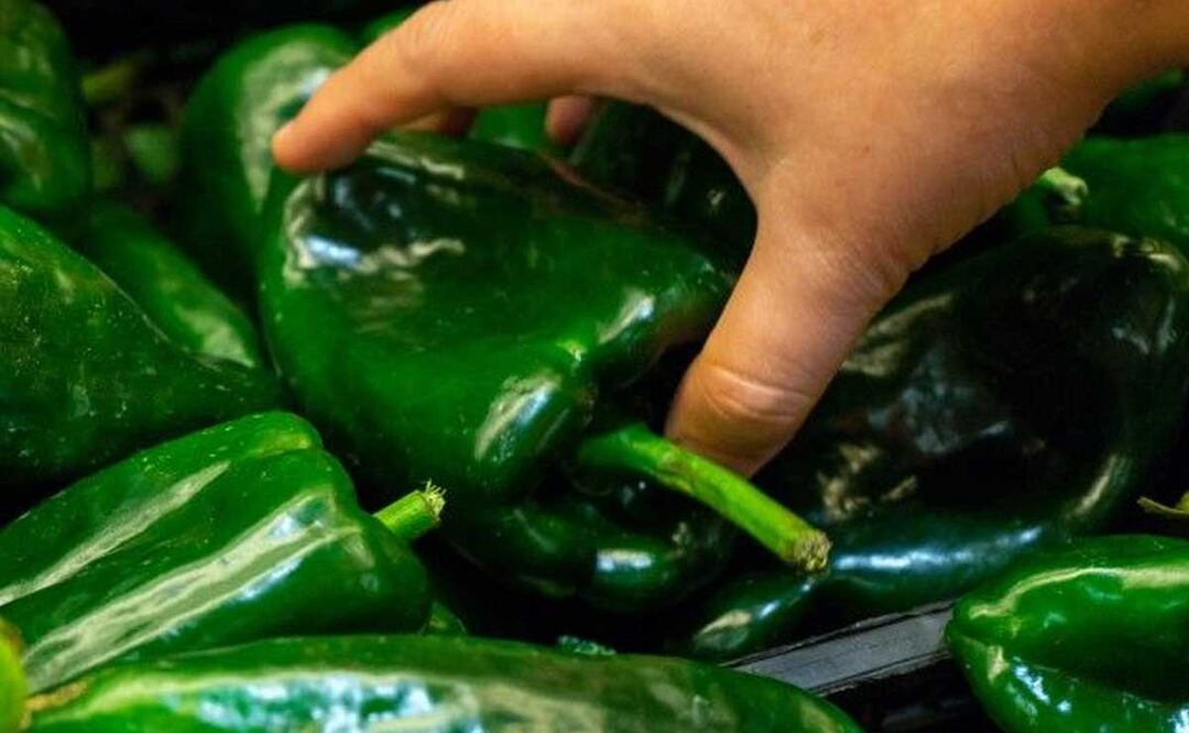Hace más de 6 000 años se encontró el primer chile poblano en el Valle de Tehuacán | Foto: Cocina delirante