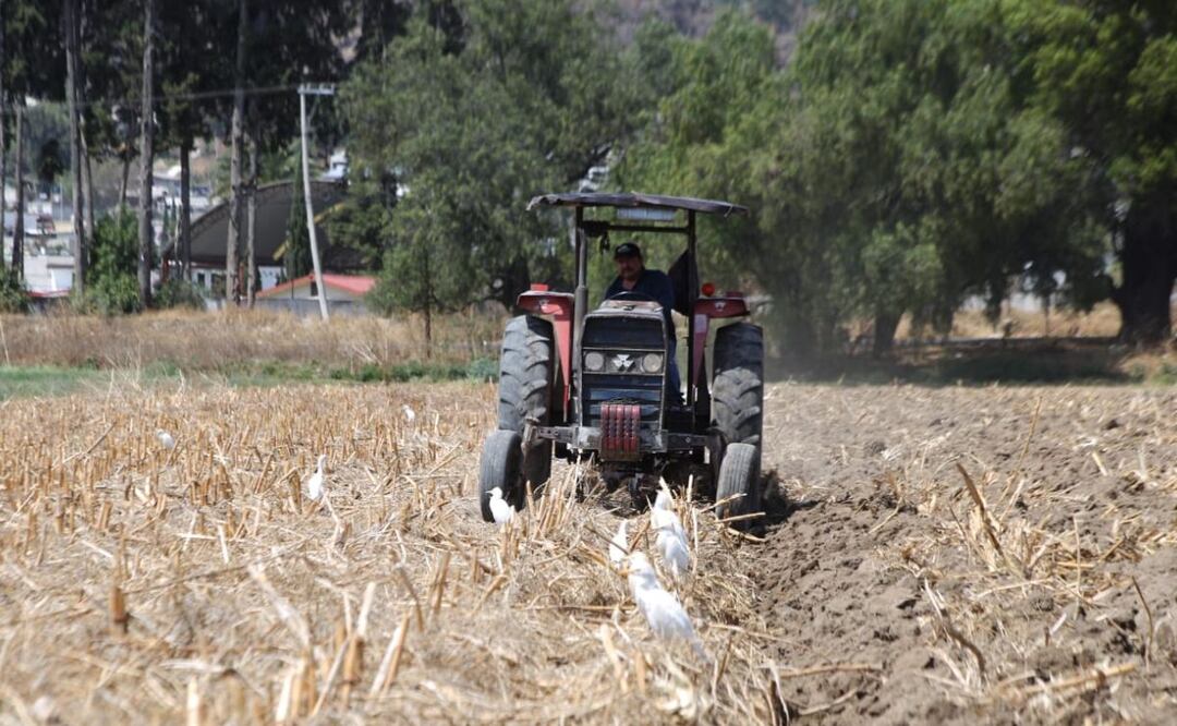 El campo poblano está en riesgo de sequía máxima en este 2023 de acuerdo con autoridades estatales | Foto: Agencia Es Imagen para El Universal Puebla