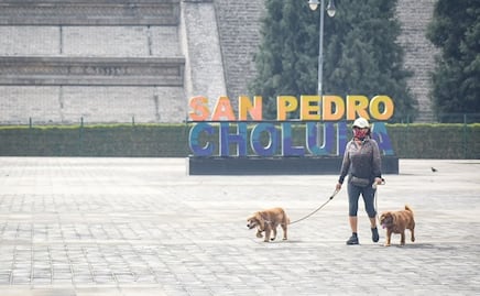 Protege a lomitos y michis de la ceniza volcánica con estos cuidados básicos