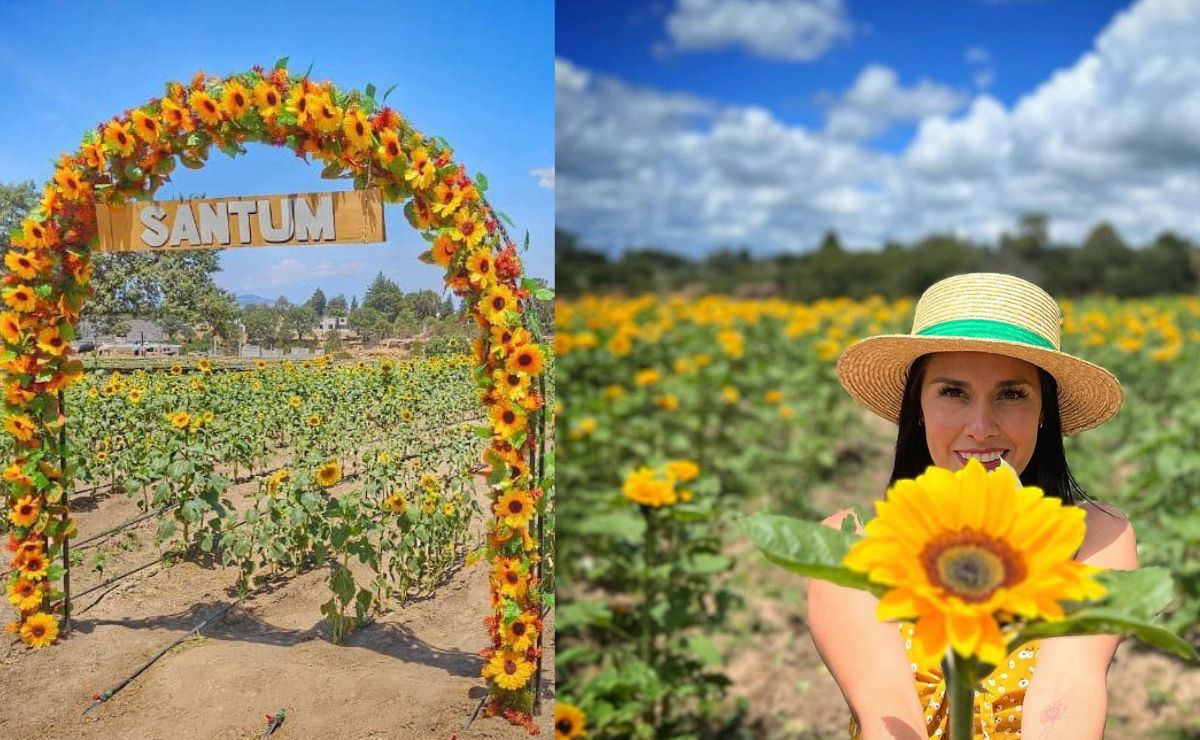 El santuario de los girasoles está muy cerca de Puebla | Foto: Facebook Santum