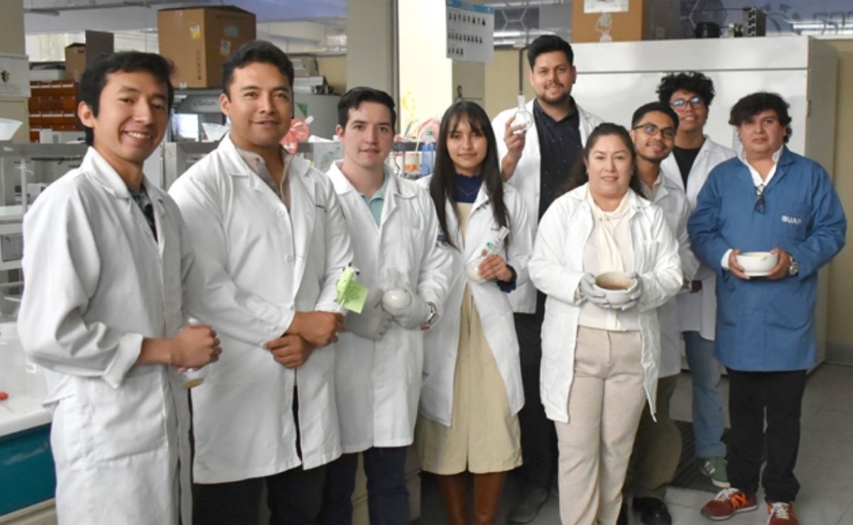 Investigadora de la BUAP obtiene patente por compuesto que reduce células malignas en cáncer de mama y cérvico uterino