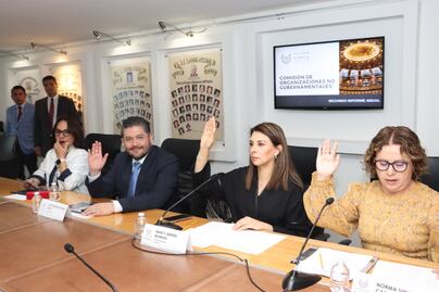 Comisión de Organizaciones No Gubernamentales del Congreso presenta Informe Anual de Trabajo