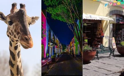 Qué hacer en Puebla, el destino sin playa más visitado de México