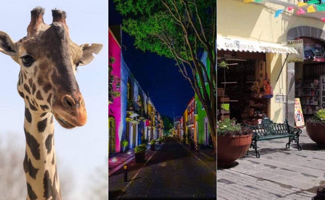 La ciudad de Puebla es el destino más visitado de México I Foto: EsImagen/TripAdvisor