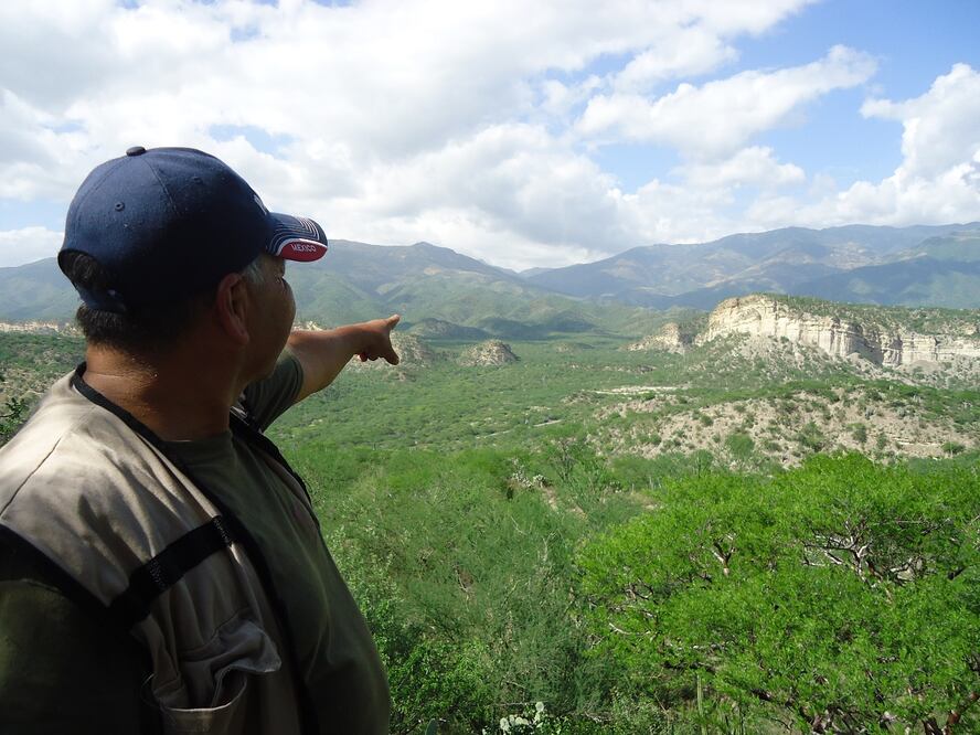 Puebla tiene 4 Parques Nacionales con gran riqueza en biodiversidad y actividades turísticas. Foto: Comisión Nacional de Áreas Naturales Protegidas