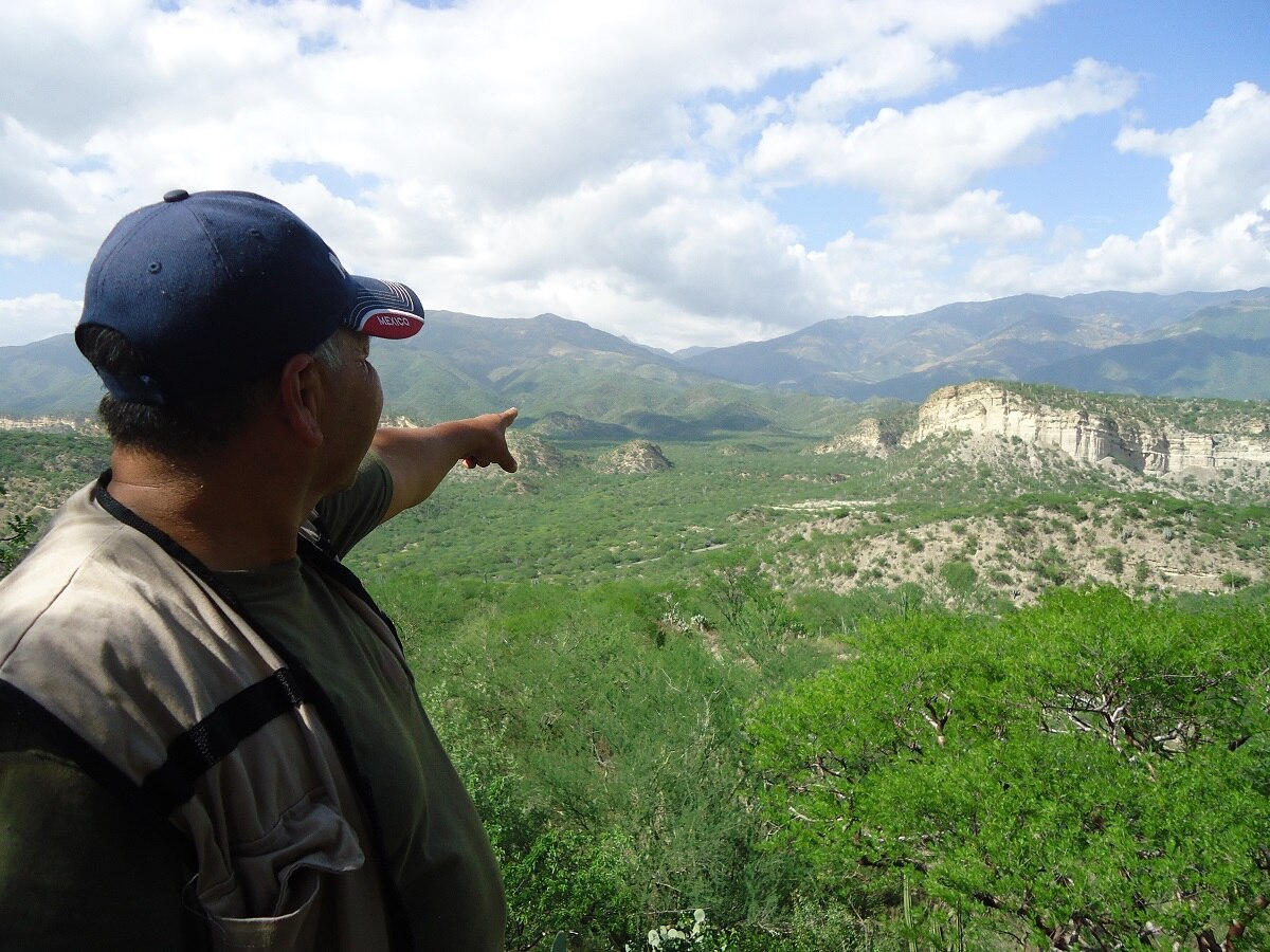 Puebla tiene 4 Parques Nacionales con gran riqueza en biodiversidad y actividades turísticas. Foto: Comisión Nacional de Áreas Naturales Protegidas
