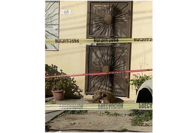 Perro de Lourdes Maldonado la sigue esperando en su puerta