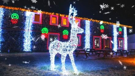 Villa Iluminada Atlixco 2021. Fotos de lo que podrás ver en el Brillafest