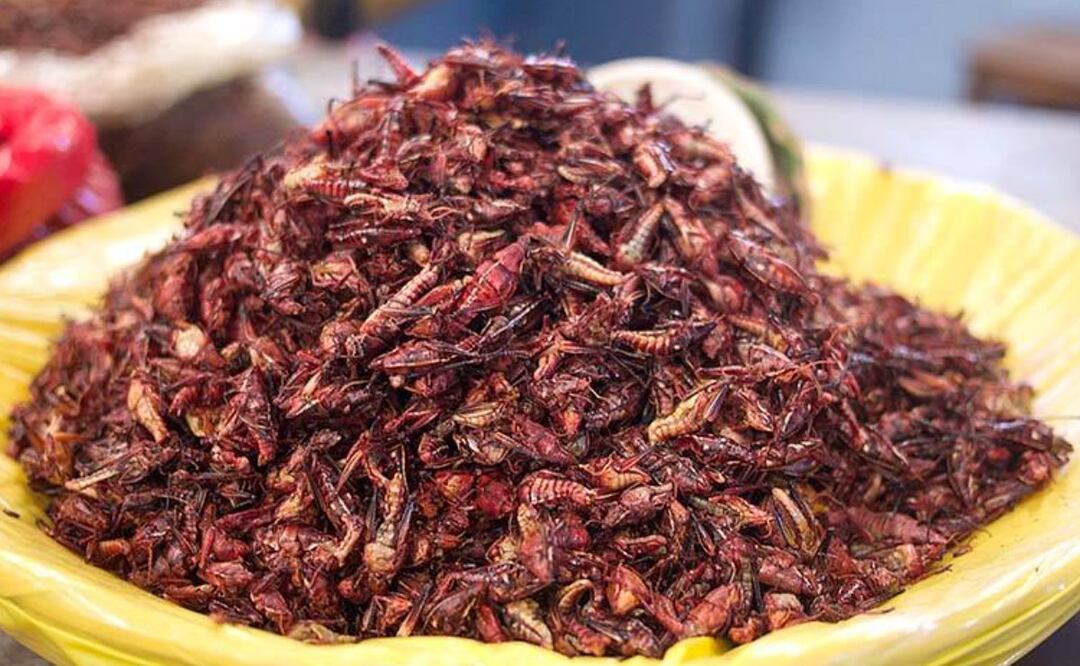 Los chapulines con salsitas y limón son un imperdible cuando visitas el pueblo mágico de Cholula | IMAGEN: Especial