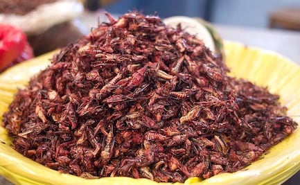 Chapulines, la botanita exótica que encuentras en Cholula