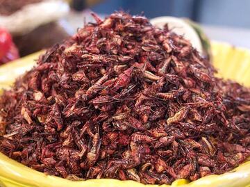Chapulines, la botanita exótica que encuentras en Cholula