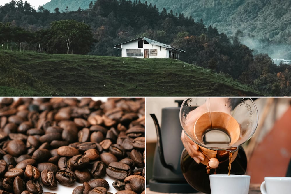 El café de este Pueblo Mágico es una de las bebidas favoritas | Foto: Pexels Daniela Aguilar / Eduardo Vite