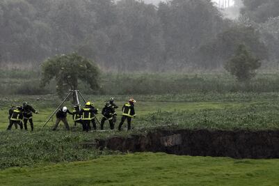 Cómo rescataron a los perritos que cayeron en el socavón de Puebla