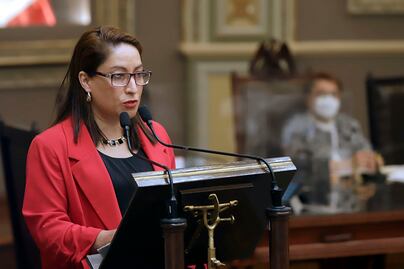 Diputada del PT propone consultar a hombres sobre aborto