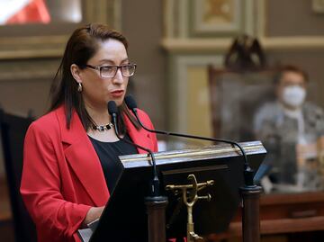 Diputada del PT propone consultar a hombres sobre aborto