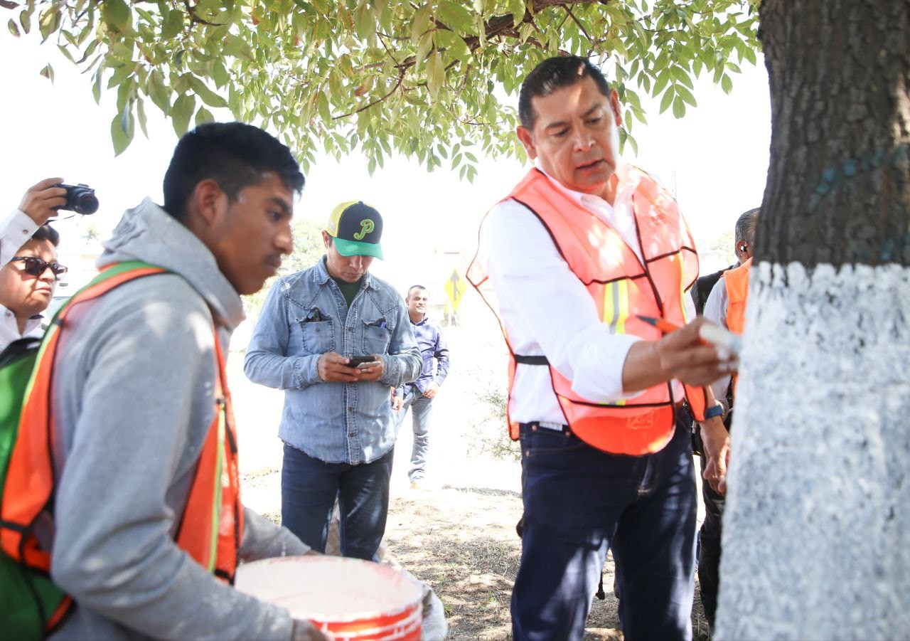 Con encalado, basado en criterios técnico-científicos, se protege arbolado urbano