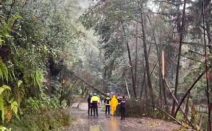Piden a 217 municipios acciones preventivas ante temporada de ciclones tropicales