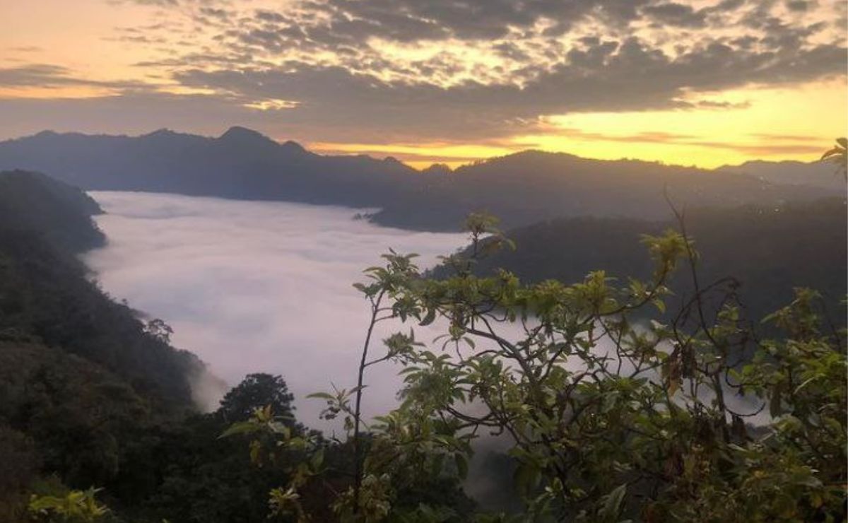 La Barranca de los Jilgueros en Zacatlán esconde una belleza muy especial | Foto: Instagram Barranca de los Jilgueros