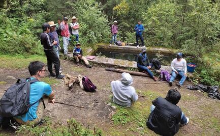 Preparan expediciones en La Malinche sobre hongos silvestres 