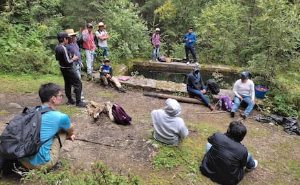 Preparan expediciones en La Malinche sobre hongos silvestres 