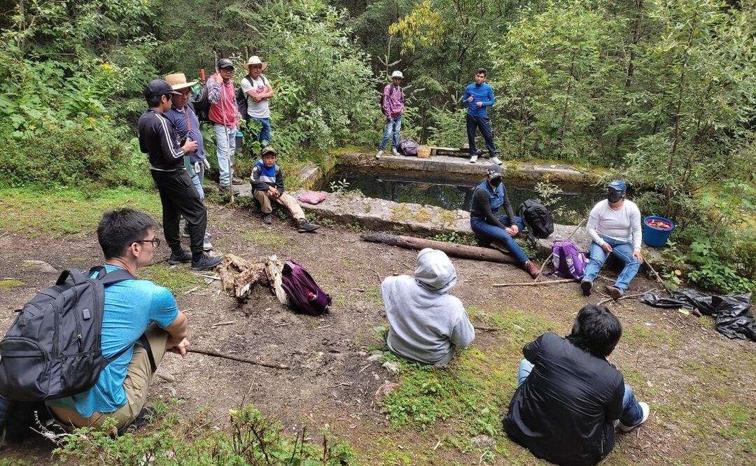 A partir de junio hay actividades relacionadas con los hongos que se crecen en La Malinche | Foto: Facebook 5ta Feria de los Hongos Silvestres