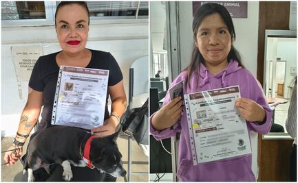 En Puebla el padrón de perros y gatos es voluntario