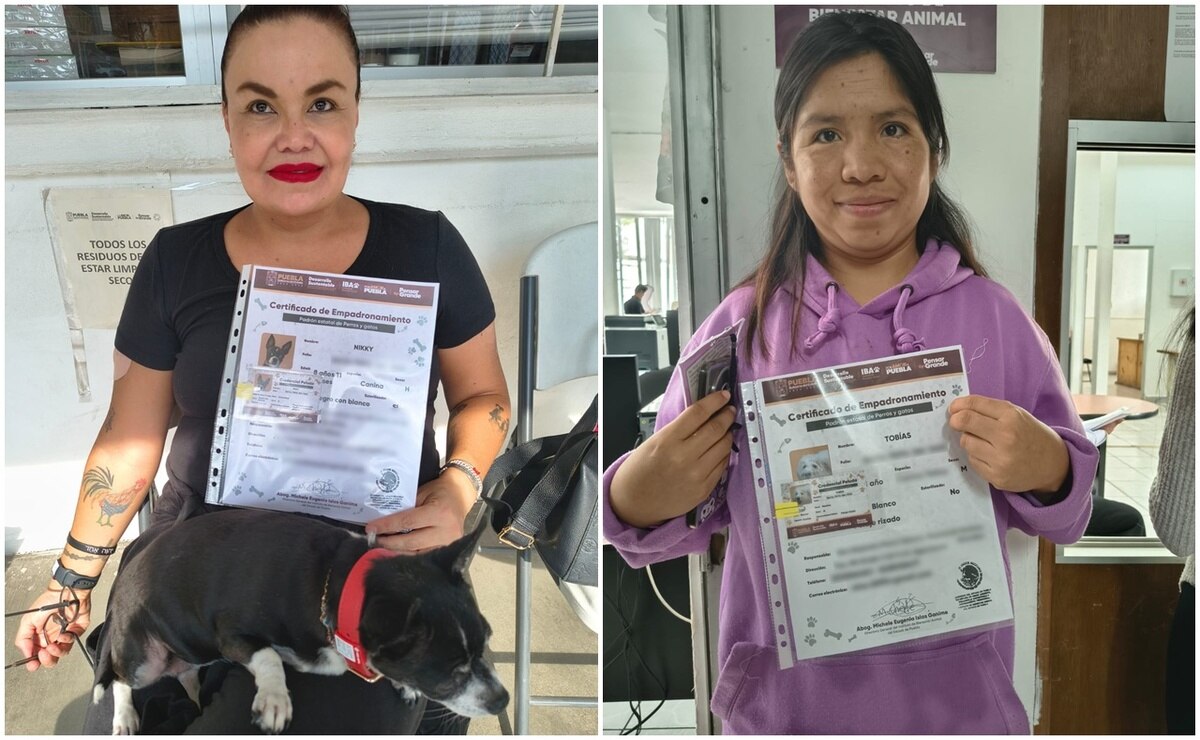 El Gobierno del Estado reafirma su compromiso con los seres sintientes | Foto: Gobierno de Puebla