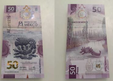 Es falso que Banxico anunciara impresión de más billetes del ajolote esta semana