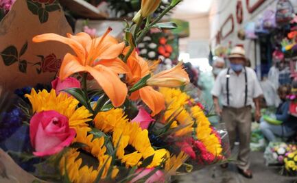 Gobierno de Norma Layón destina 250 mil pesos para comprar flores