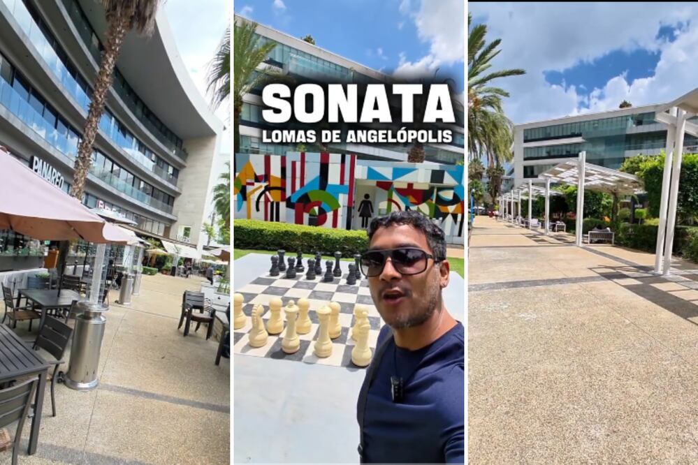 Sonata ya no es lo que era, según la opinión pública | Foto: Captura de TikTok