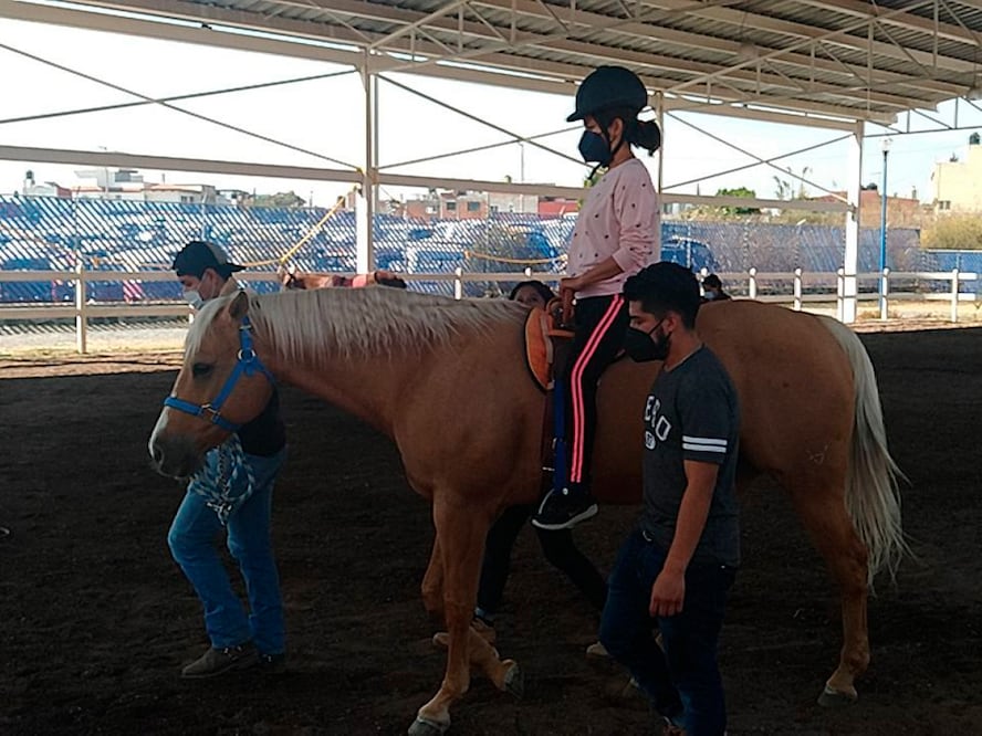 Equinoterapia como tratamiento auxiliar para personas con discapacidad