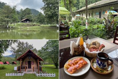 Escápate a estas cabañas en el bosque para disfrutar de la lluvia con pan y café