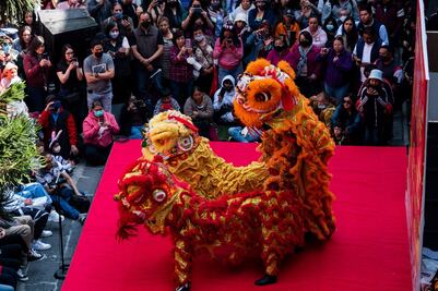 Conejo de agua, el animal del 2023 en el horóscopo chino. ¿Qué significa?