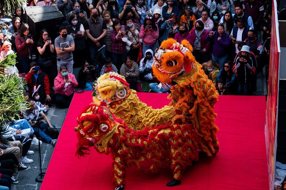 El año del Conejo de agua inicia el 22 de enero de 2023. Foto: Cuartoscuro