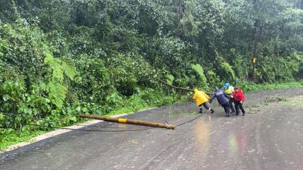 Protección Civil y Bomberos retiran árboles sobre carreteras de Puebla