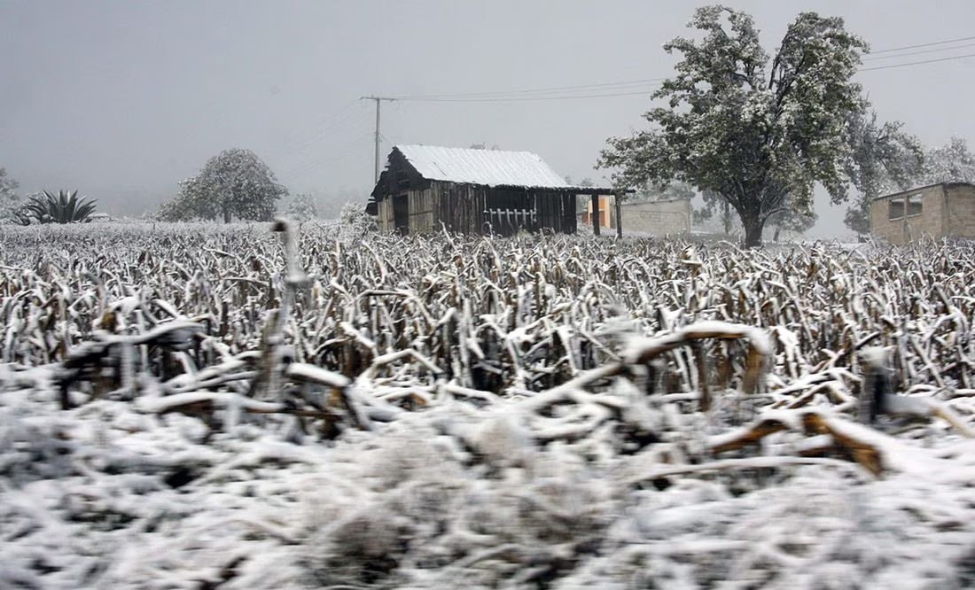 La dependencia convocó a la población a mantenerse alerta y a estar preparada para evacuar sus hogares en caso de ser necesario, ya que se han habilitado albergues temporales en los municipios donde históricamente las temperaturas descienden más.


Foto: Producción El Universal Puebla
