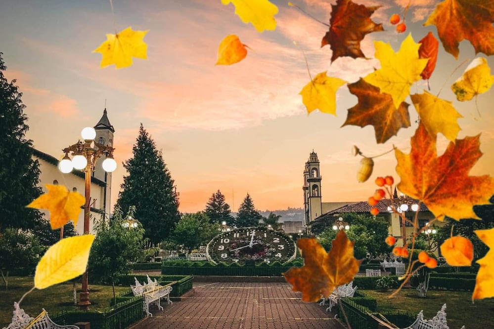 La neblina y el clima fresco crean un ambiente ideal para disfrutar del otoño | Foto: FB Zacatlán Travel / Magnific