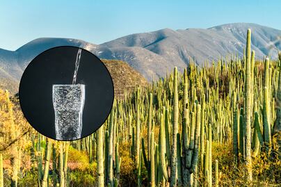 Por qué Tehuacán Puebla tiene la mejor agua mineral del mundo, según la ciencia