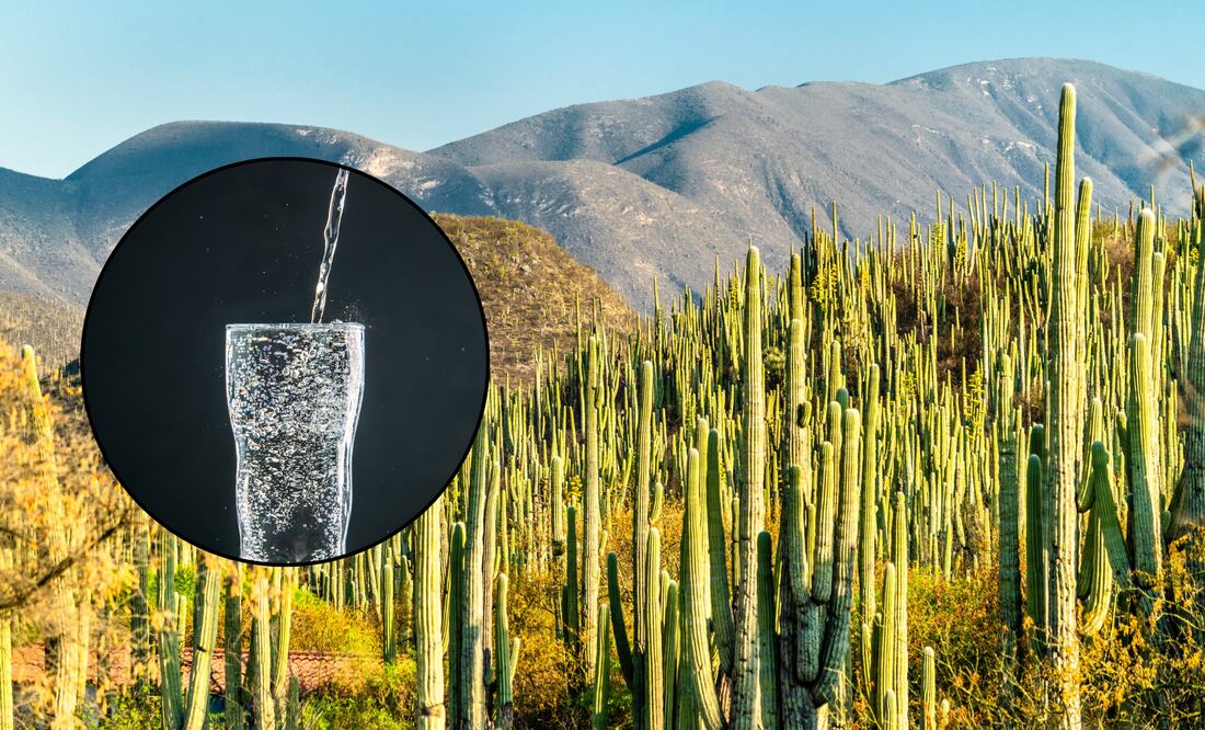 El agua mineral de Tehuacán tiene propiedades curativas | Foto: Expedia / Freepik