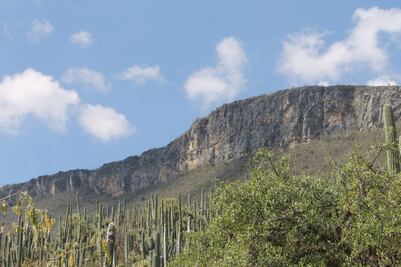 Rechazan permiso para construcción de residencial en la Reserva de la Biósfera