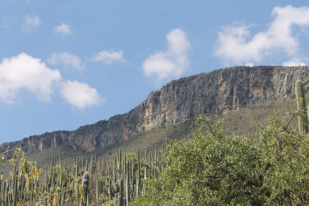 La Reserva de la Biósfera Tehuacán-Cuicatlán es una Área Natural Protegida | Foto: Agencia Es Imagen para El Universal Puebla