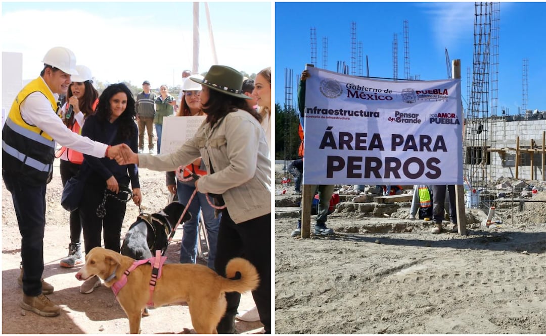 Un centro que será referente nacional y que atenderá a más de mil 500 animales | Foto: Gobierno de Puebla.