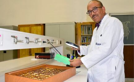 Insectos como indicadores ambientales, un estudio de la BUAP