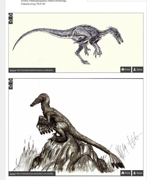 Foto: Dinosaur Pictures and Facts
