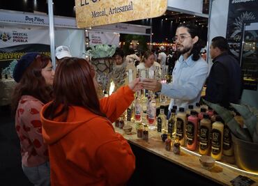 Descubre lo Mejor de la Expo Mezcal 2024 en Puebla: horarios y actividades