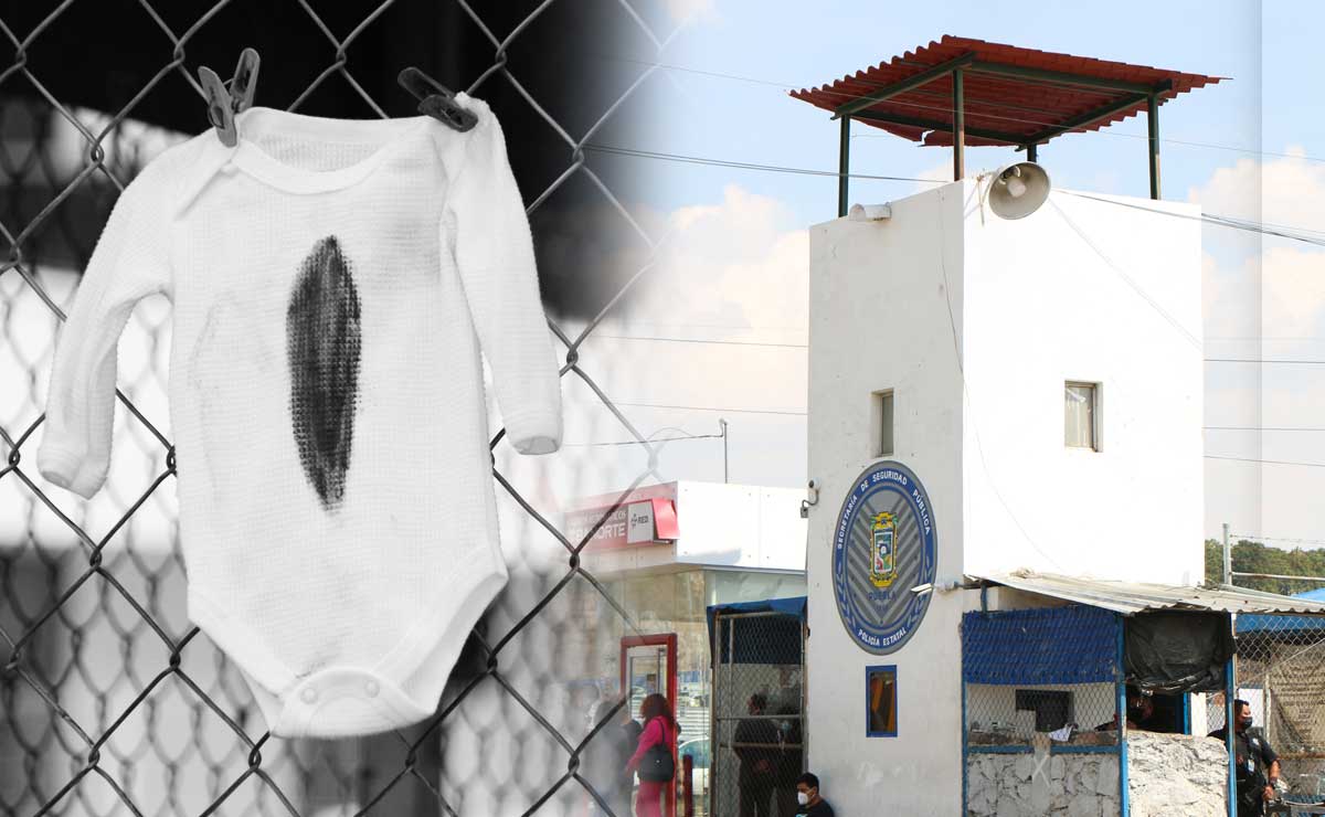 Así introdujeron al Bebé Tadeo a San Miguel, cinco son responsables