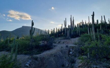 Municipios de Puebla a los que NO llega la ceniza y puedes disfrutar el fin 
